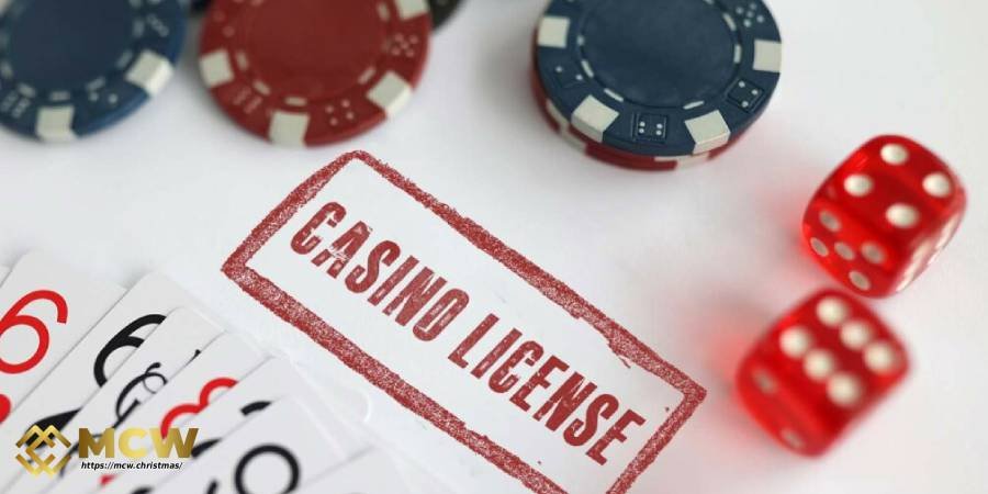 PERFORM INDEPENDENT LICENSING AUDITS PERFORM INDEPENDENT LICENSING AUDITS